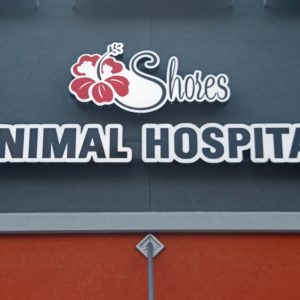 Shores_Animal_Hospital_03